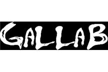 Logo firmy GALLAB Grzegorz Liwski - srodowisko.pl GALLAB Grzegorz Liwski - logo firmy w portalu srodowisko.pl