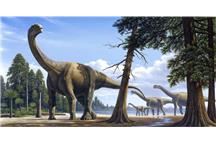 Odchody dinozaurów w znacznym stopniu użyźniały glebę