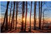 Pixabay, CC0