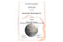 Katowickie Wodociągi - dyplom Katowickie Wodociągi - dyplom