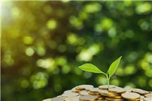 Zielone finansowanie: Wszystko, co musisz wiedzieć o kredytach ekologicznych