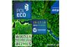 POL ECO
