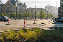 Jak miasta inwestują w zieloną komunikację? Przegląd rozwiązań
