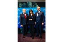 Szejnfeld, Krol, Wojnarowicz