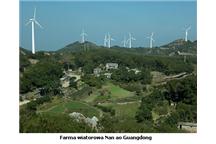 Chiny inwestują w odnawialne źródła energii
