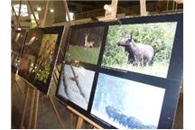 Targi POLEKO 2011 - galeria zdjęć