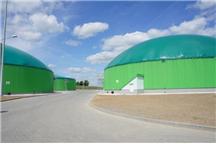 Biogazownia w Boleszynie zwiększy swoją moc do 1,8 MW. Biogazownia w Boleszynie zwiększy swoją moc do 1,8 MW.