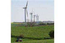 Firmy masowo inwestują w zieloną energię Firmy masowo inwestują w zieloną energię