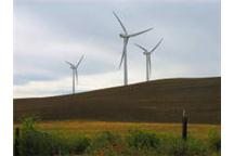 Rywalizacja o grunty pod elektrownie wiatrowe Rywalizacja o grunty pod elektrownie wiatrowe