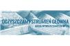 Oczyszczamy Strumień