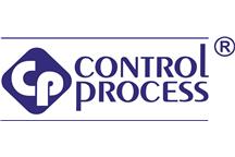  CONTROL PROCESS