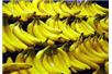 Samochody z bananów i ananasów