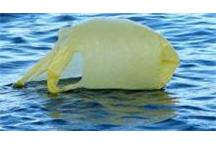 Komisja Europejska pyta obywateli o plastikowe torby Komisja Europejska pyta obywateli o plastikowe torby